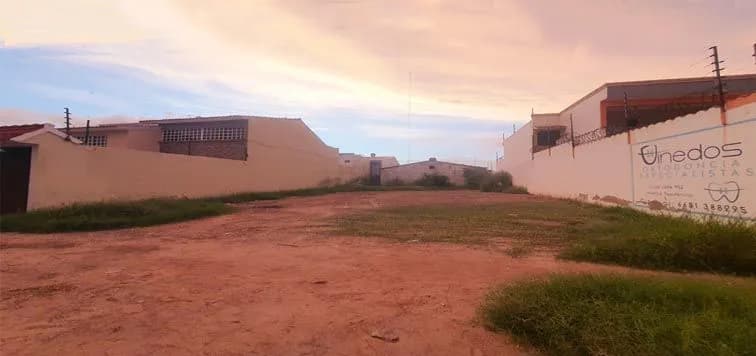 Galería 7
